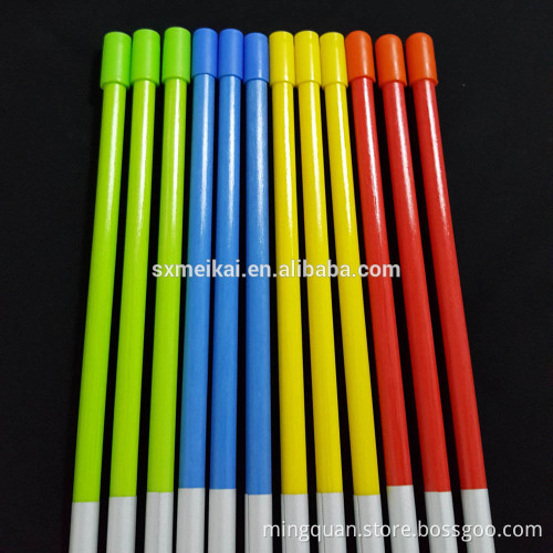 Colorful Driveway Markers/ Snow stake